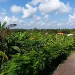 Oemah Joglo Bali