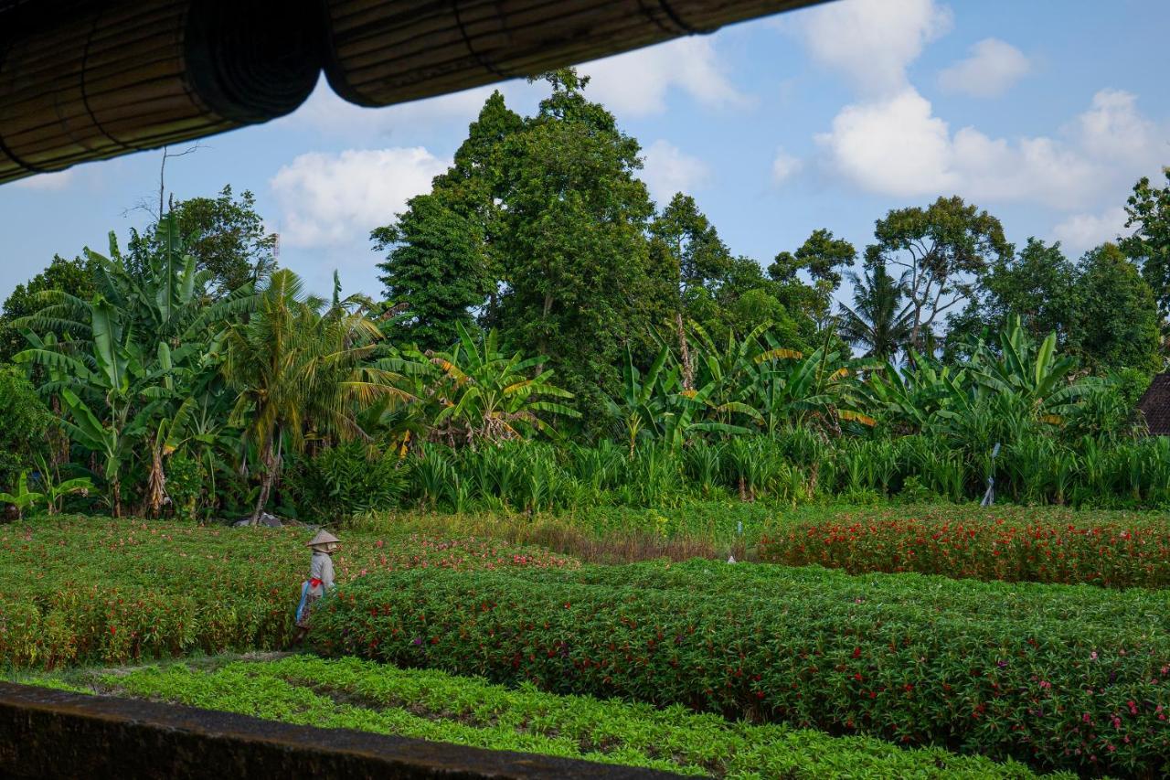 Oemah Joglo Bali Villa Ubud